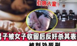 臭猪网红日本爆料视频大全,一场视觉与味觉的冒险之旅