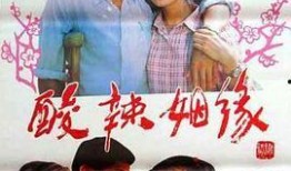 酸辣姻缘在线观看,一场别开生面的爱情盛宴