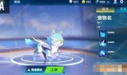 飞车手游最新宠物爆料点