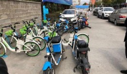 龙港爆料新闻网最新,聚焦最新热点，解码龙港发展新篇章