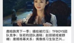 天堐娱乐爆料,揭秘娱乐圈幕后风云