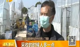 八村最新爆料新闻视频