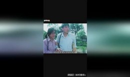 酸辣姻缘在线观看,一场别开生面的爱情盛宴