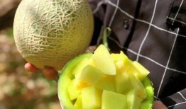 娱乐吃瓜切,揭秘明星幕后故事