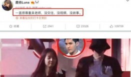 爆料小三集合视频大全,揭秘视频大全中的情感纠葛与背叛真相