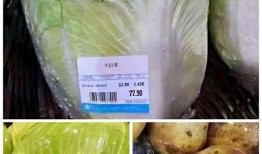 吉林大白菜爆料视频,揭秘田间地头的新鲜秘密