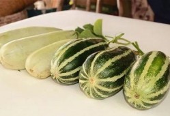 各种网红爆料吃瓜在线观看,揭秘娱乐圈幕后故事