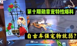 飞车手游最新宠物爆料点