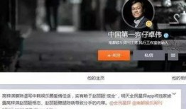 越南狗仔爆料视频播放网站,热门事件瞬间曝光