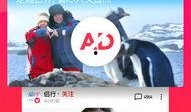 吃瓜视频搞笑全部下载免费,欢乐无限