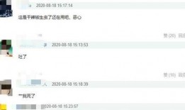 陈赫天涯爆料视频播放大全,揭秘娱乐圈不为人知的一面