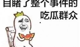 娱乐吃瓜酱你为什么晕车,揭秘晕车背后的趣味真相