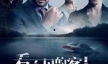 悬疑电影在线观看,悬疑电影在线观看，揭秘惊悚之谜