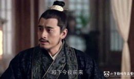 琅琊榜22集在线观看,揭秘梅长苏身世之谜，风云变幻再掀波澜