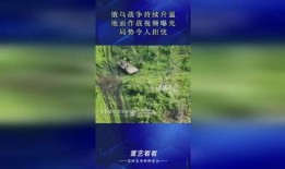 俄乌当前局势爆料了吗视频,揭秘“爆料了吗视频”背后的真相