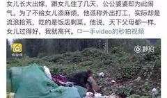 甘肃西和县爆料事件视频,真相与争议交织的社区冲突