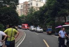 成都爆料小偷事件最新,警方全力追捕中！