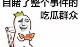 娱乐吃瓜菌体育,娱乐吃瓜菌带你揭秘精彩瞬间