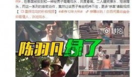 网友爆料李观洋视频在线观看,李观洋视频在线观看，揭秘幕后真相