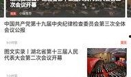 荆楚网今日爆料新闻,揭秘某重大事件背后真相