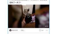 新闻爆料小助手下载安装,下载安装，轻松掌握新闻资讯