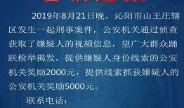 刑事案件爆料视频大全,刑事案件爆料视频大盘点
