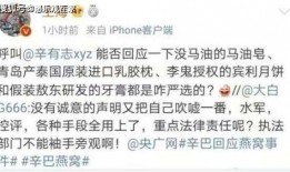 打假人王海爆料辛巴视频,打假人王海揭露惊人内幕
