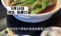 爆料学生烂菜视频大全,学生曝光烂菜视频大盘点