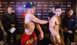 美国媒体爆料杨建平视频,揭秘背后真相