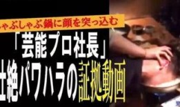 社长最新爆料视频大全,揭秘幕后真相，精彩瞬间大盘点