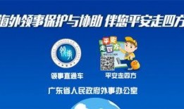 佛山电台爆料视频回放,揭秘背后惊人真相！