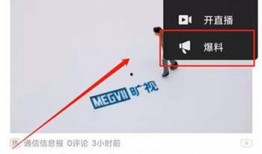 怎样爆料网红赚钱的人视频,揭秘爆料视频深度解析