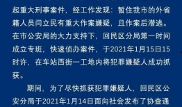 刑事案件爆料视频大全,刑事案件爆料视频大盘点