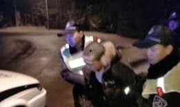 成都爆料小偷事件最新,警方全力追捕中！
