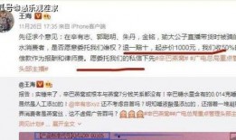打假人王海爆料辛巴视频,打假人王海揭露惊人内幕