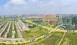 仙桃最新爆料,揭秘神秘事件背后的真相