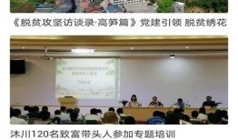沐川网友爆料新闻最新