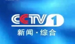 雷州电视台爆料新闻,重大新闻事件深度解析
