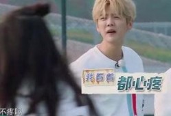 鹿晗热巴最新一期爆料,甜蜜互动引粉丝热议