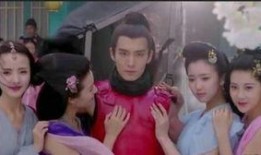 太子妃升职记在线观看,宫廷权谋与爱情纠葛的华丽演绎