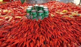 舌尖爆料龙虾视频播放,龙虾视频播放背后的美味传奇