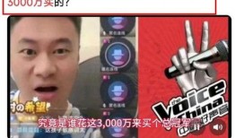 黑幕视频爆料,视频爆料揭示惊人内幕