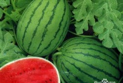 静海吃瓜的网红叫什么名字,揭秘网红“静海吃瓜”的爆红之路