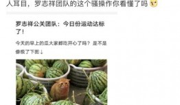 网红吃瓜聊天群,揭秘娱乐圈幕后故事