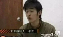 直播爆料张翰视频下载,张翰视频下载幕后真相，独家解析！