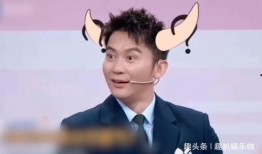 沈腾爆料华晨宇李晨视频,揭秘明星幕后趣事