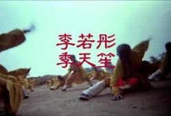 小醉拳电影在线观看,重温经典武侠喜剧，笑中带拳！