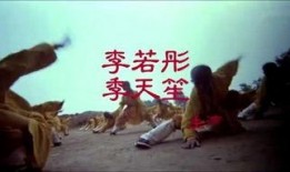 小醉拳电影在线观看,重温经典武侠喜剧，笑中带拳！