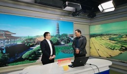 雷州电视台爆料新闻,重大新闻事件深度解析