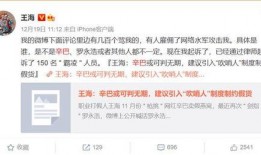 打假人王海爆料辛巴视频,打假人王海揭露惊人内幕